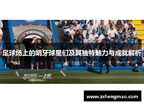 足球场上的哨牙球星们及其独特魅力与成就解析